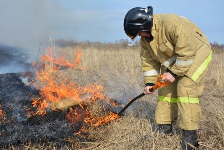 В Свердловской области с 30 апреля установлен особый противопожарный режим