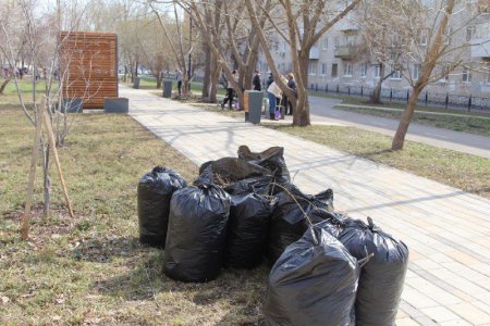 Традиционные весенние субботники стартовали в Свердловской области. Как и куда выкидывать мусор
