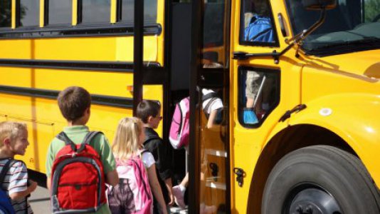 В Свердловской области усилят контроль за перевозкой школьников к учебным заведениям и местам отдыха
