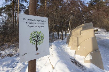 В Свердловской области набирает обороты движение общественных экологических инспекторов