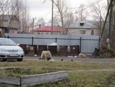 «Мусорная» реформа в вопросах и ответах