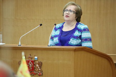 Уполномоченный по правам человека Татьяна Мерзлякова высказалась за создание закона о российском гражданском обществе