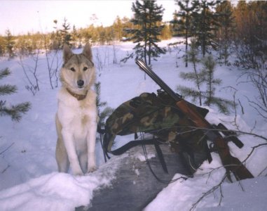 В Свердловской области вооружили егерей  