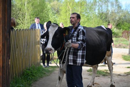 Многодетной семье Маркиных передали корову по поручению губернатора Евгения Куйвашева 