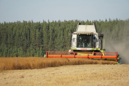 Правительство Свердловской области нацелило аграрный сектор региона на обеспечение сохранности урожая 